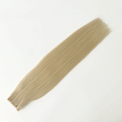 Πλήρης πληρωμή Muti-Color Double Draw Remy Human Hair Seamless PU Skin Weft Hair Extension (Περιεκτάσεις μαλλιών με δερματικό υφασμό)